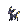 Umbreon Umbreon